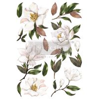 Decor Transfer - Magnolia Grandiflora
