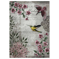 Rice Paper - Hummingbird Song