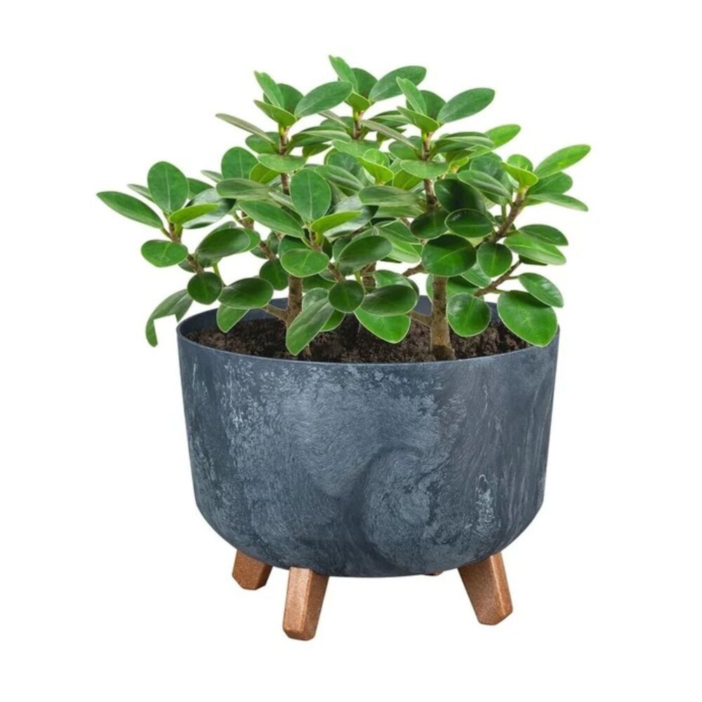 Plant Pot - Gracia (Circular)