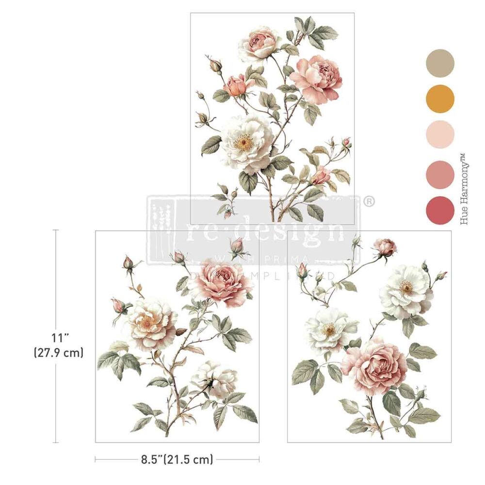 Decor Transfer - Creamy Blush Blooms (A4)