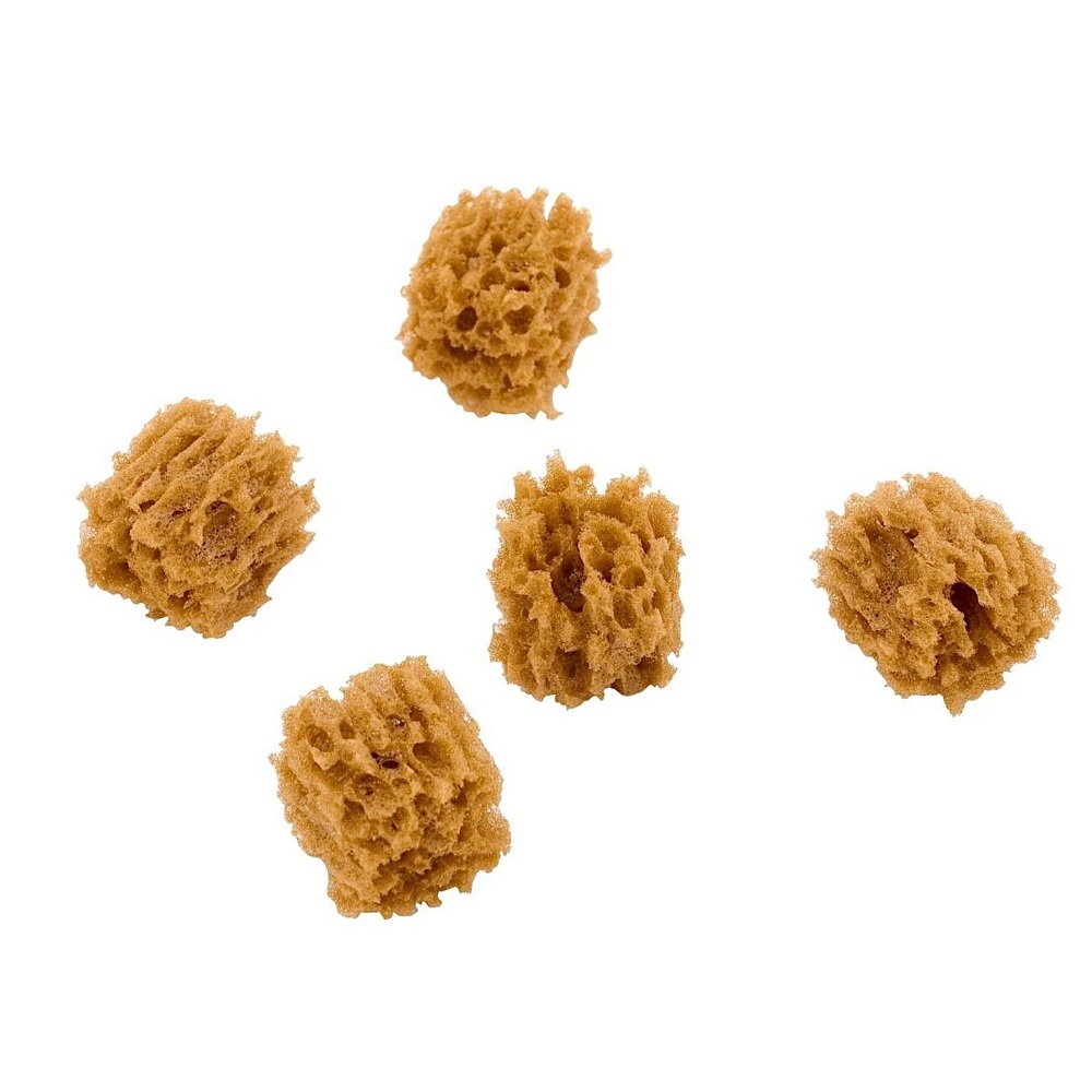 Faux Sea Sponge