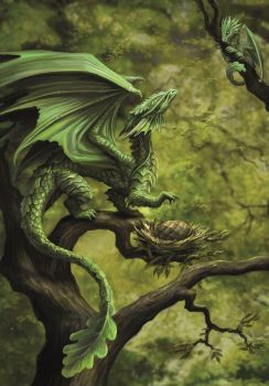 Forest Dragon Greetings Card by Anne Stokes