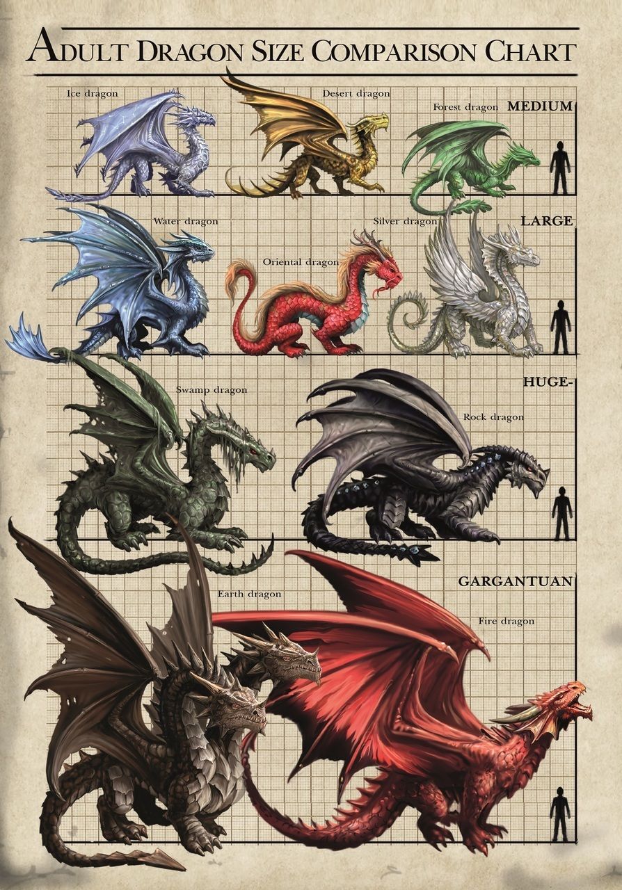 Dragon Size Chart Card by Anne Stokes