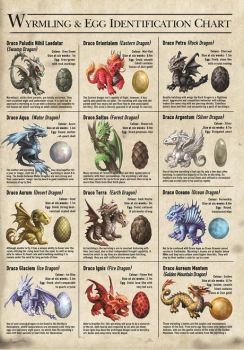 Dragon Wyrmlings Card by Anne Stokes