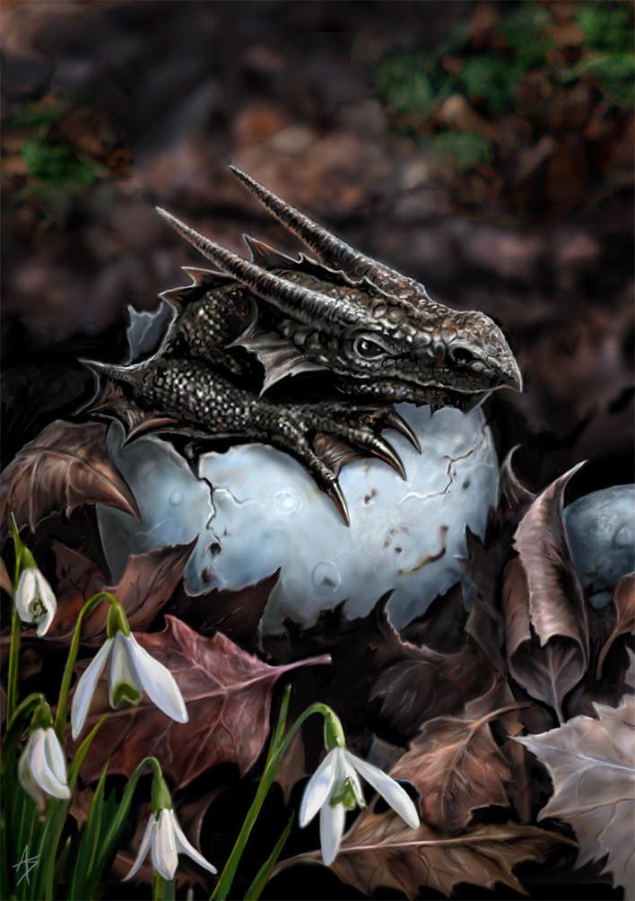 The Hatchling Greetings Card by Anne Stokes