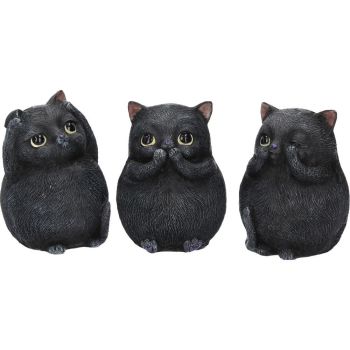 3 Wise Fat Cats