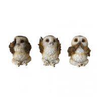 3 Wise Brown Owls