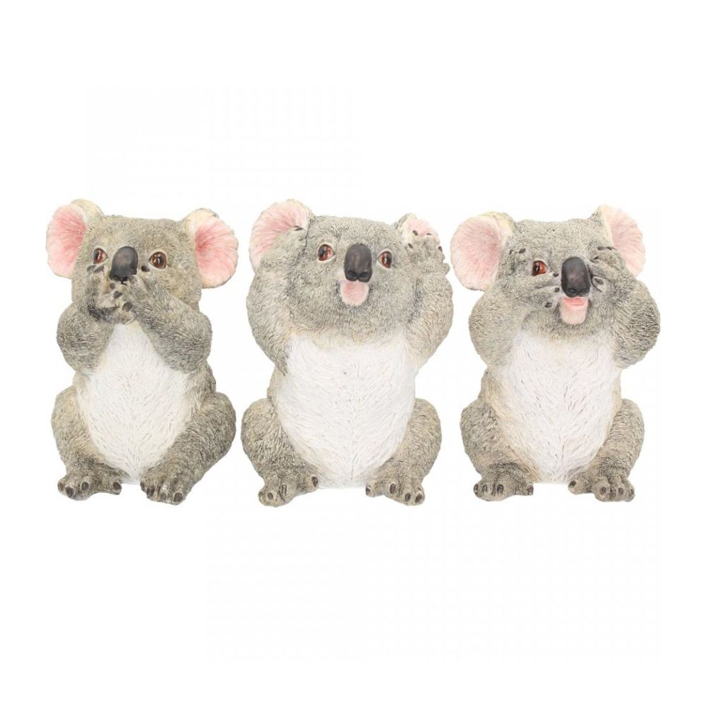 3 Wise Koalas