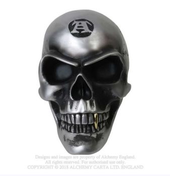 Metalised Alchemist Skull