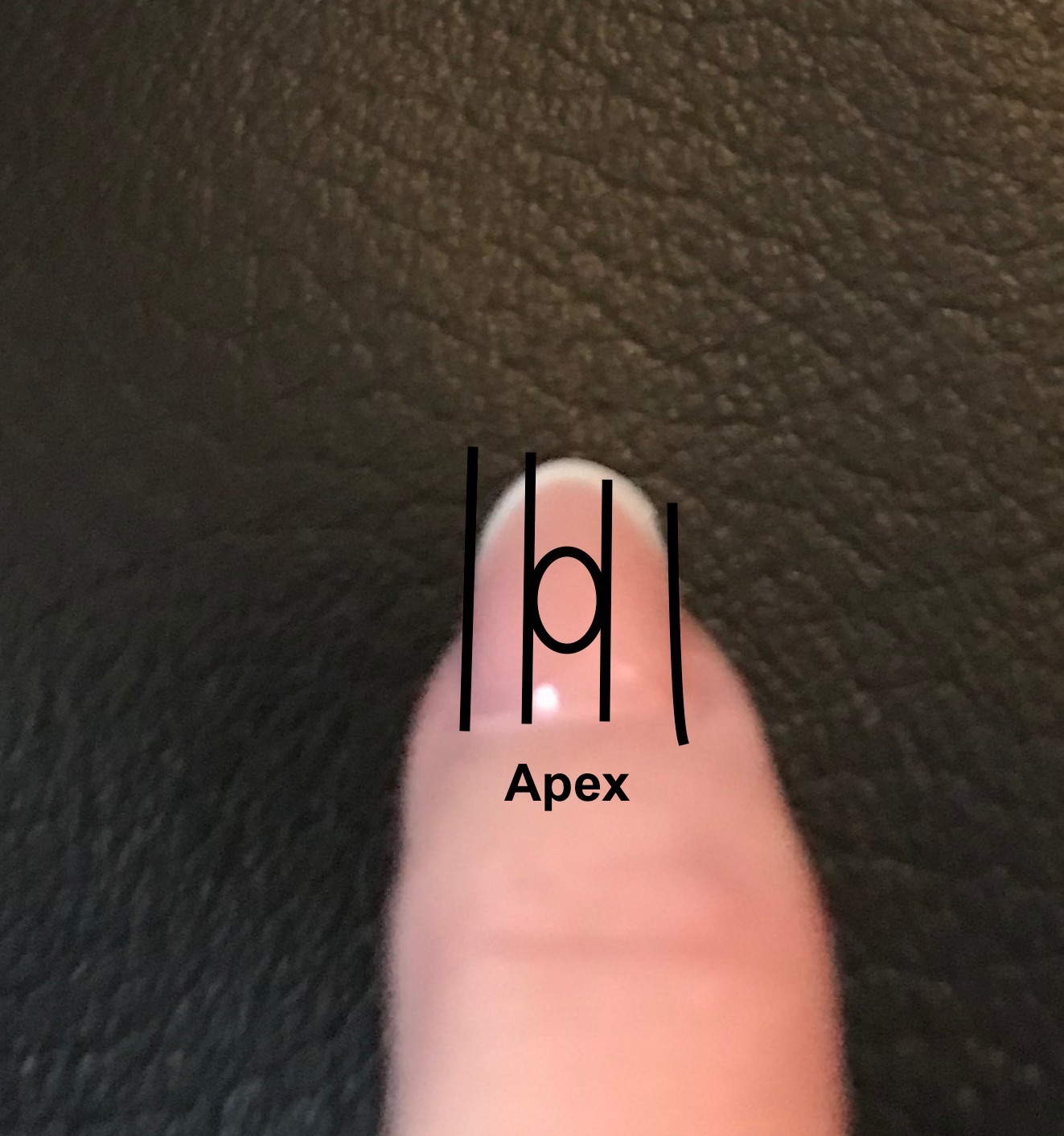 APEX NAILS - 34 Photos & 119 Reviews - 2817 W End Ave, Nashville, Tennessee  - Nail Salons - Phone Number - Yelp