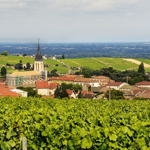 Beaujolais