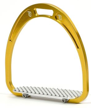 Tech Rome Racing Stirrups - Gold