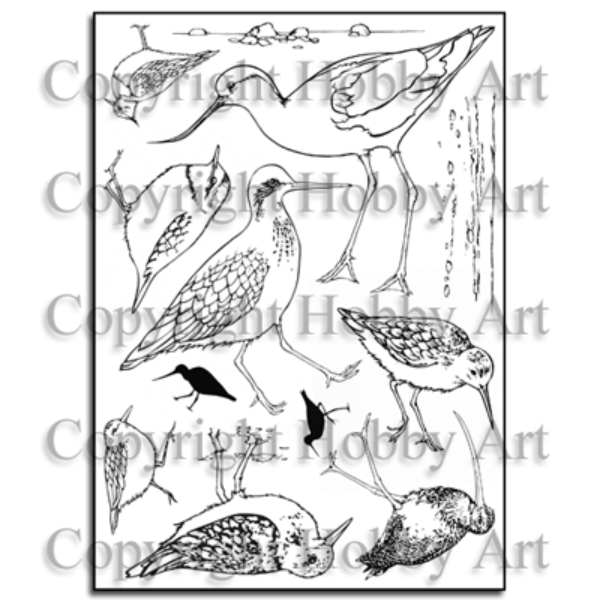 Sharon’s Collection – Water's edge A5 stamp set