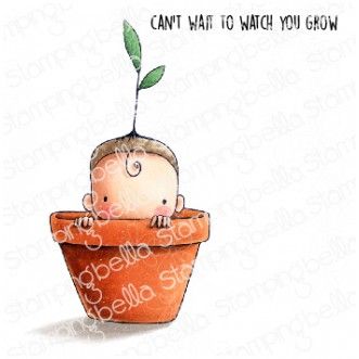 Stamping Bella - Baby - SPROUTED baby in pot