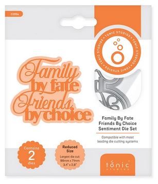 Family by fate friends by choice - Sentiment die set