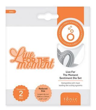 Live for the moment - Sentiment die set