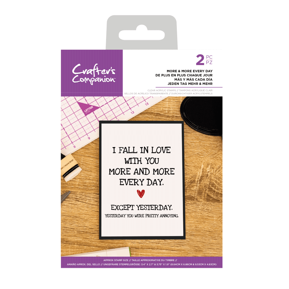 Crafter's Companion Clear Acrylic Stamp - Quirky Sentiment Stamps - More & 