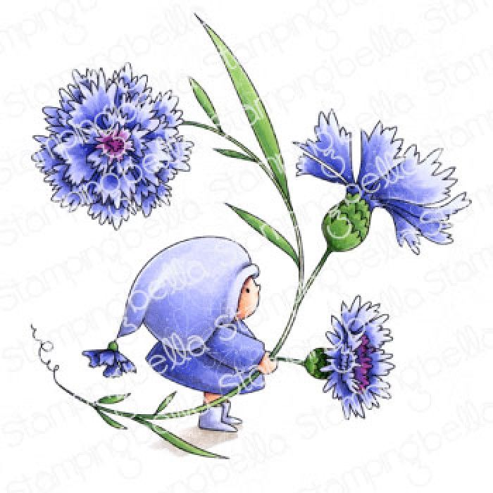 Stamping Bella - BUNDLE GIRL WITH A CORNFLOWER
