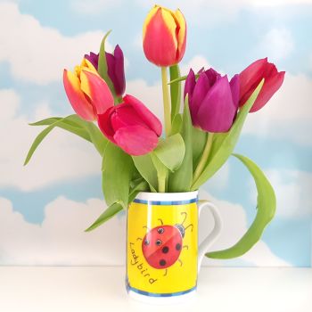 Tulips in a colourful mug