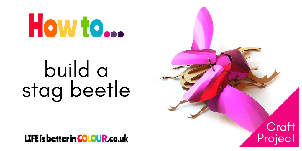 How to build a Stag Beetle