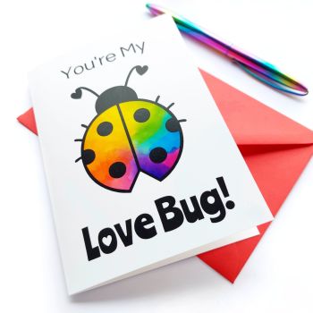 Rainbow Ladybird Valentine's Day Card