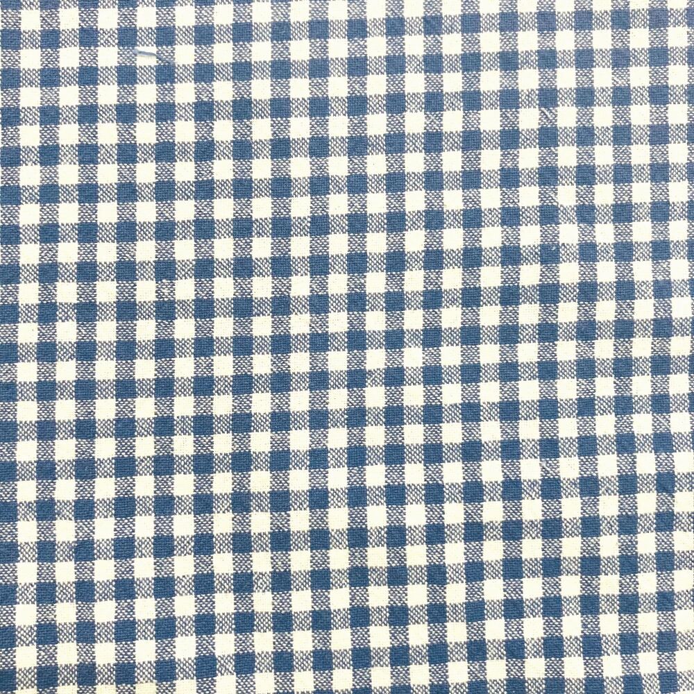 Organic Gingham - Blue