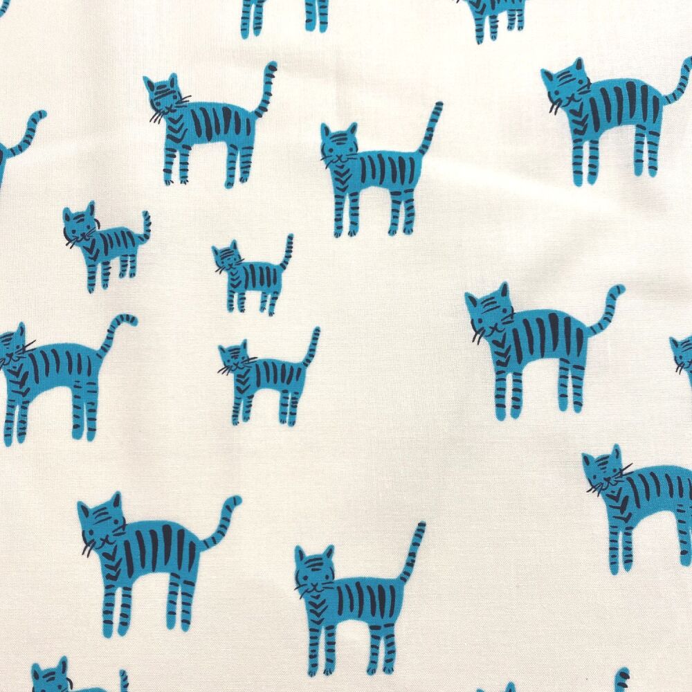 Ruby Star - Catnap Blue cats