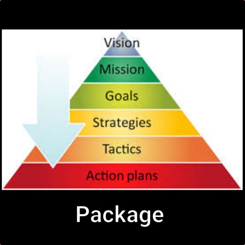 Vision, Goals and Strategy Package