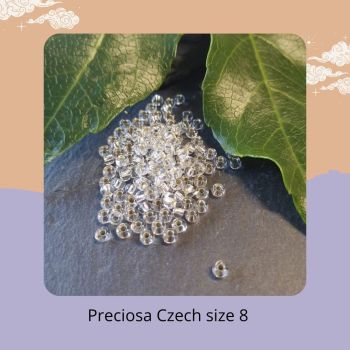 10g Czech size 8 Silver Lined 