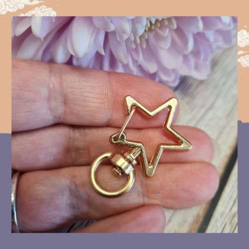 Rose Gold Star Bag Clip