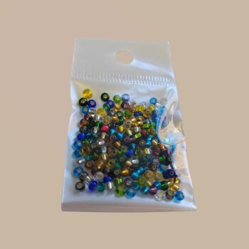  10g Czech size 8 Silver Lined Mix