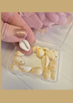 FLASH SALE Box of 15 Natural Cowrie Shell Bead with hole