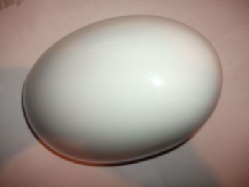 GENUINE BMW ASPEN WHITE MINI RIGHT MIRROR COVER COOPER R55 R56 R57 R58 R59 R60 