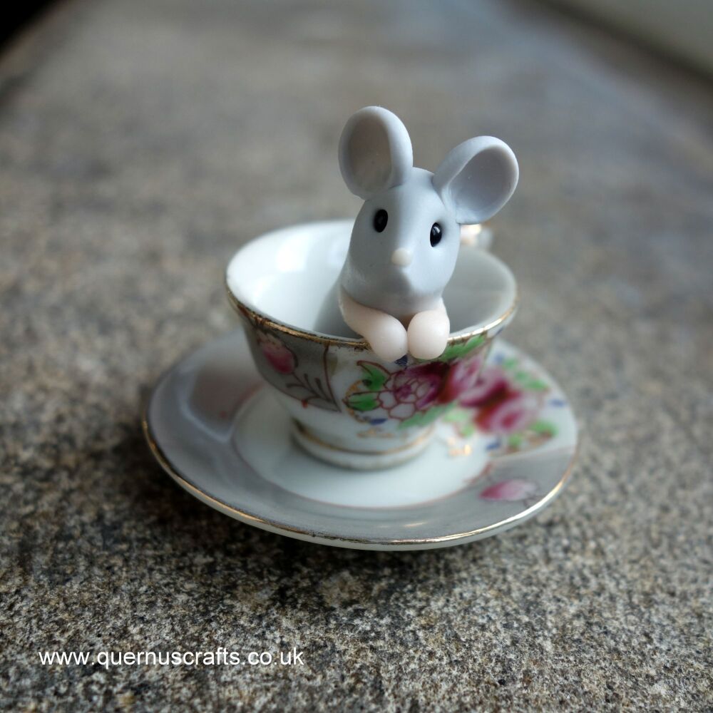 Tiny Teacup Mouse 240323 (23)