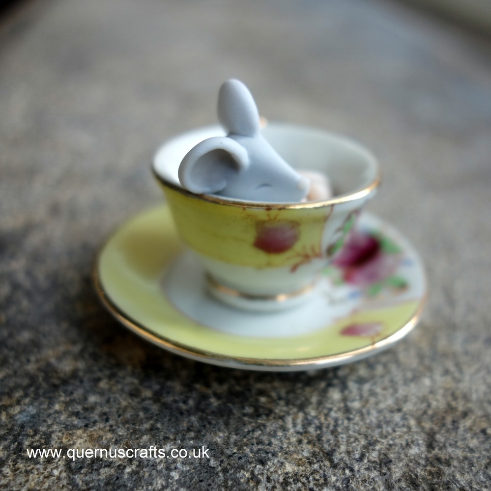 Tiny Teacup Mouse 240323 (21)