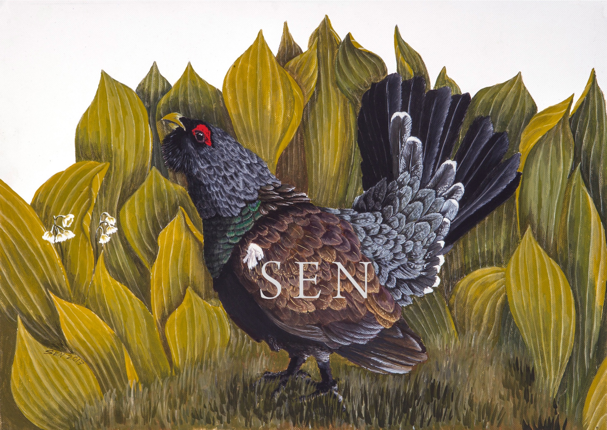 Capercaillie bird painting
