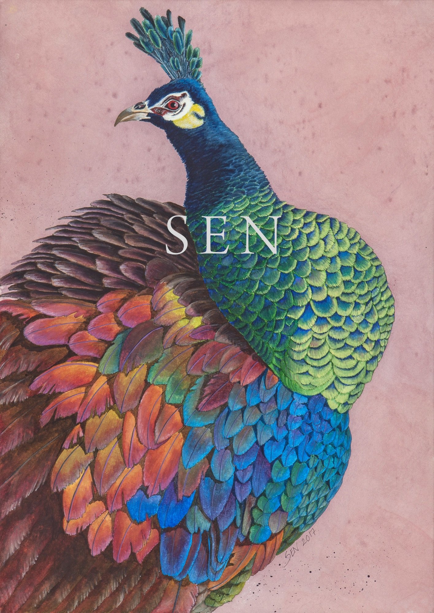Peacock bird painting