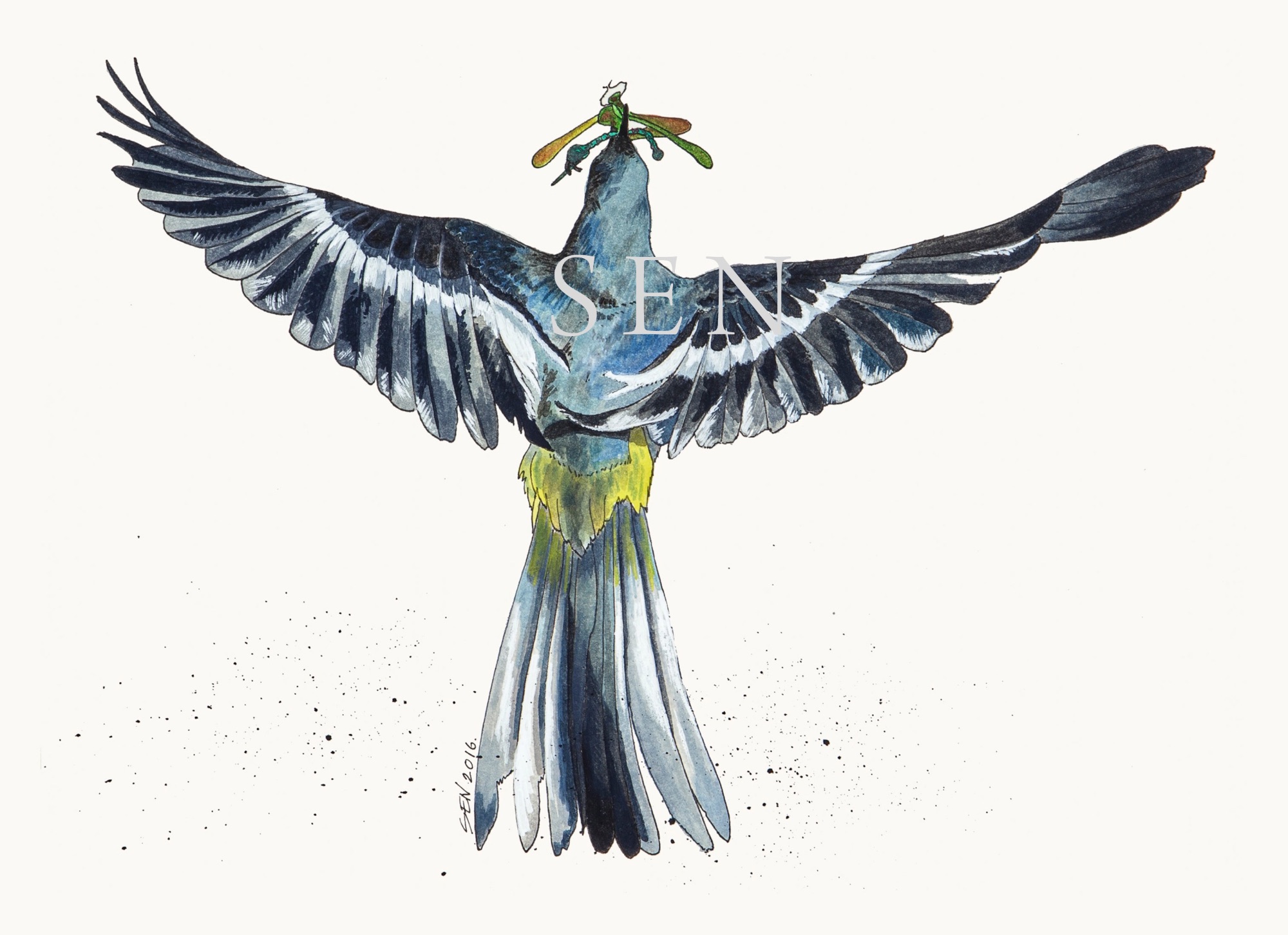 Grey Wagtail bird painting