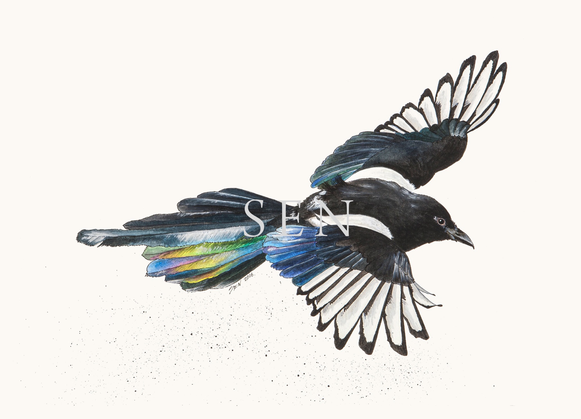 Magpie bird painting