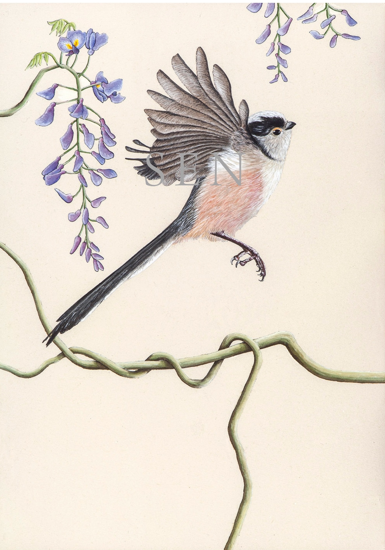 Long-tail Tit bird painting