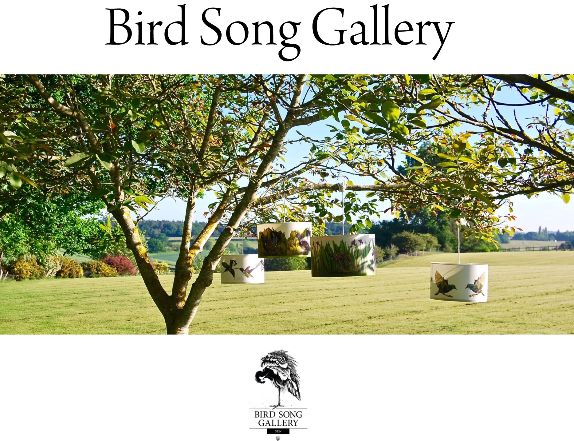 Bird Song Gallery