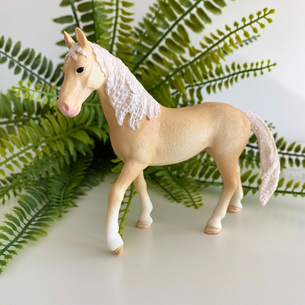 Akhal-teke Stallion - Horse