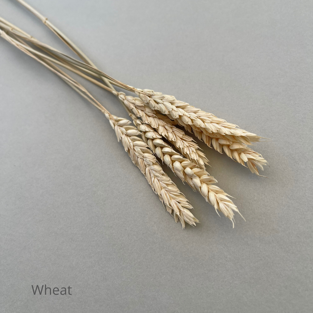 Selection Extras - Wheat