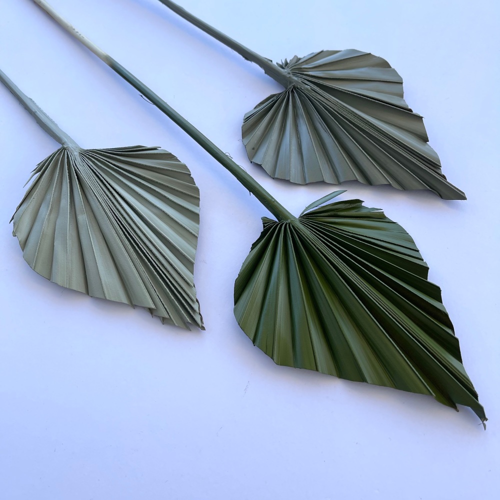 LILY & FIG - Wild Rainforest Green Spears