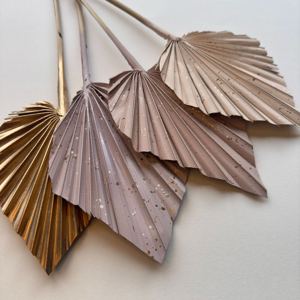 Boho Palms