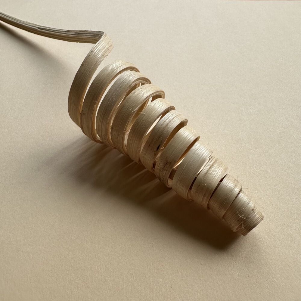 Natural Spiral Cane Cone