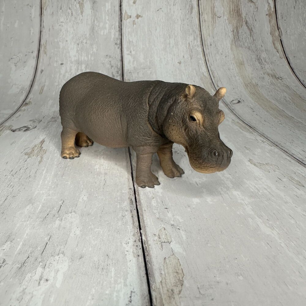 Hippopotamus