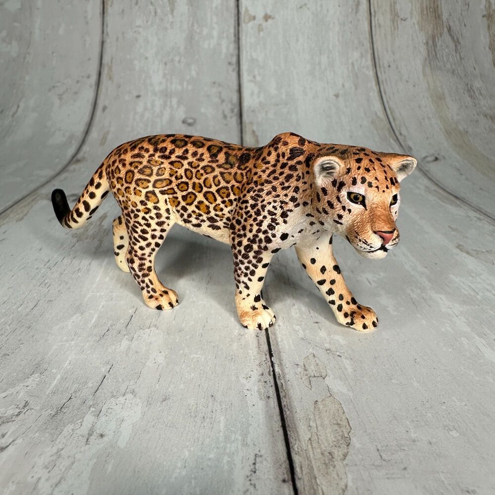 Leopard