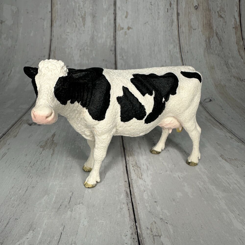 Holstein Cow