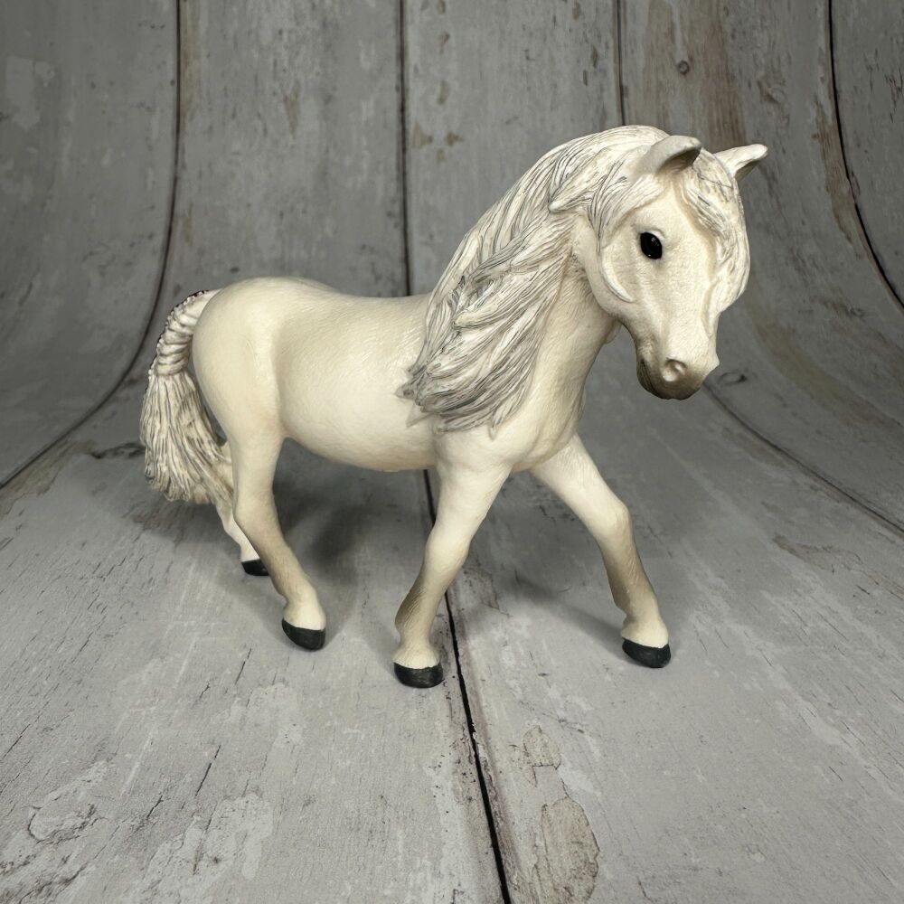 Iceland Pony